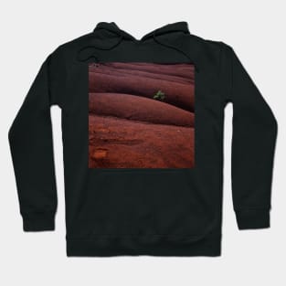 Red landscape Hoodie